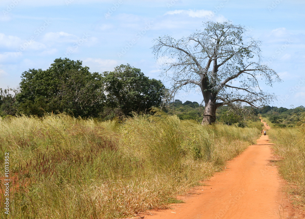 dirt road in the middle of Africa