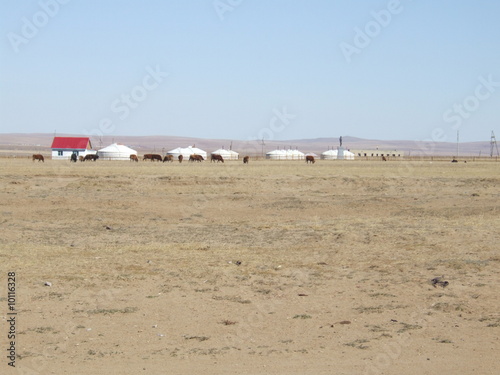 Mongolia photo