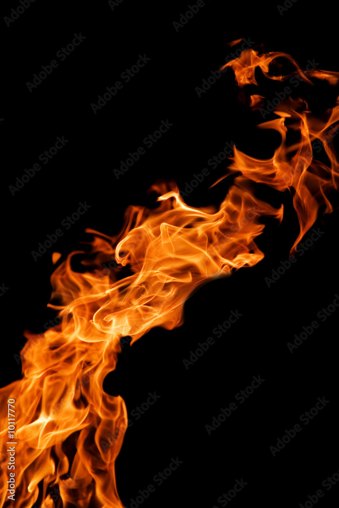Fototapeta premium orange flame
