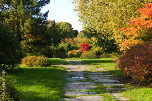 Autumn landscape background texture