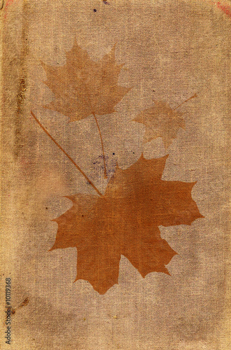 Piece of an old canvas with spots and maple leaves