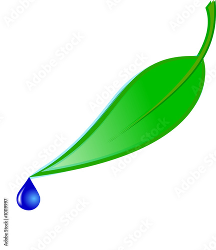 water drop