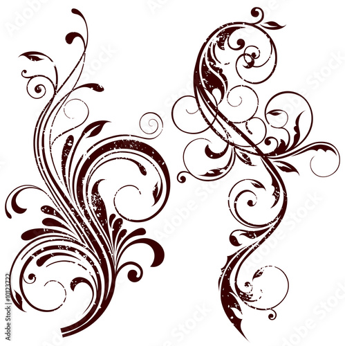 Fototapeta Naklejka Na Ścianę i Meble -  floral design elements
