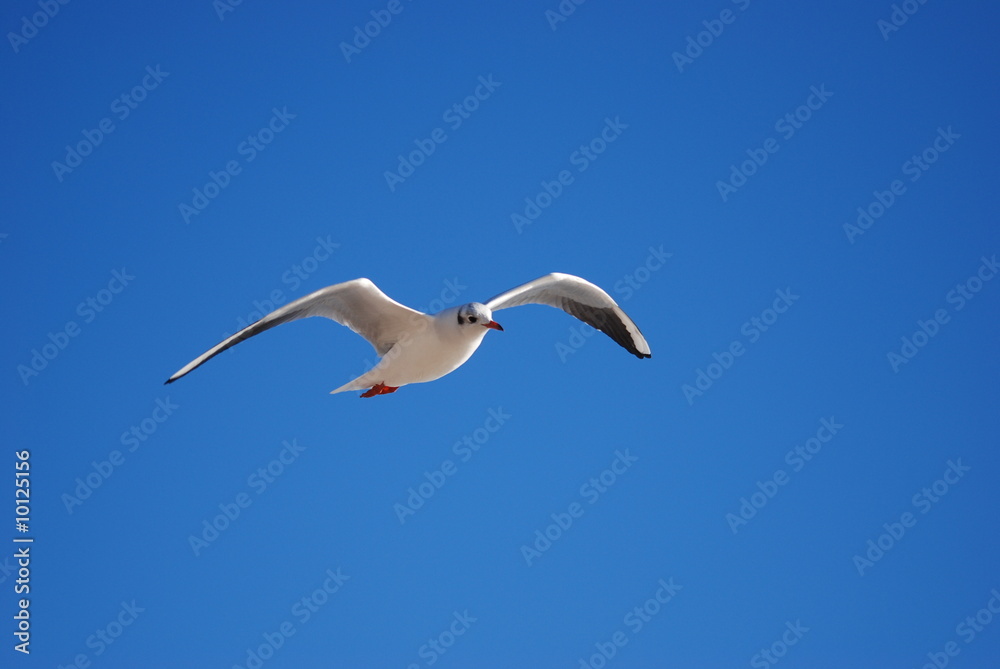 glisse et purete glisse et purete