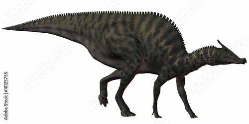 Saurolophus Angustirostris-3D Dinosaurier photo