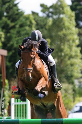 Horserider during a jumping contest photo