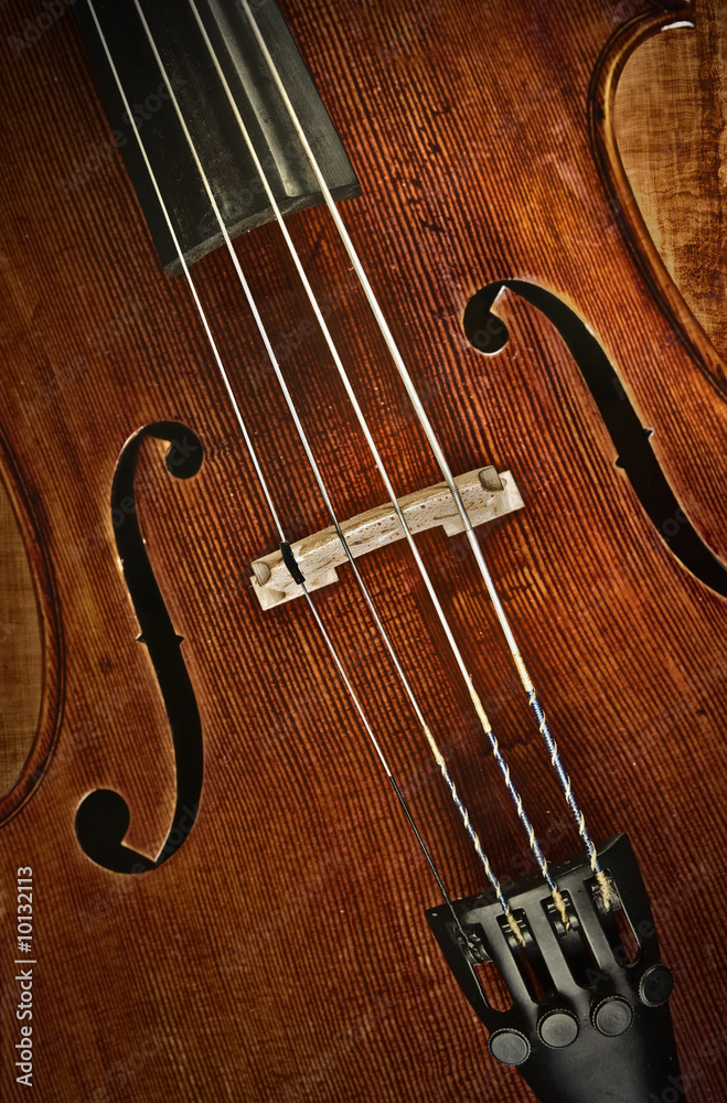 great image of a cello or violin great image of a cello or violin
