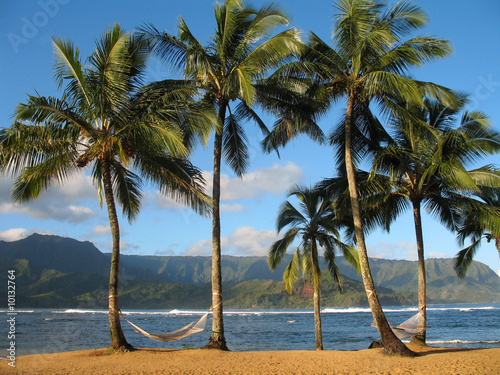 Hawaiian Hammocks