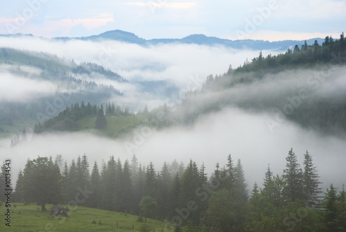 dense fog over summer mountains © wildman