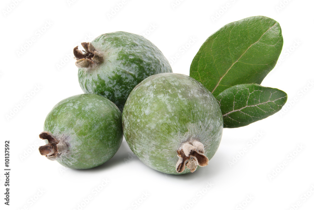 Feijoa and leaves isolated over white Feijoa and leaves isolated over white