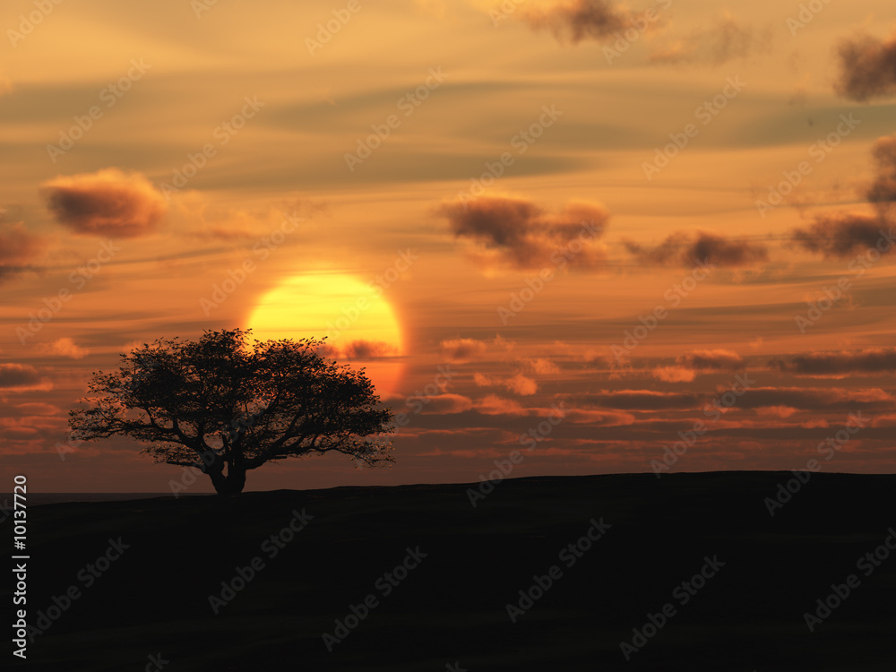 Fototapeta premium Decline and tree. A red sunset in deserted district