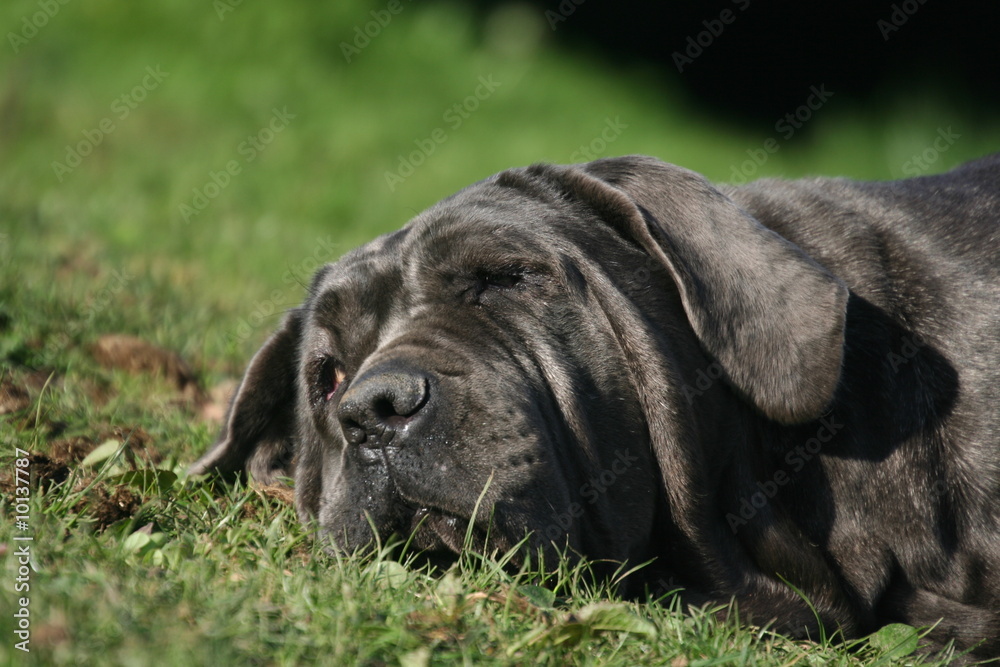 Portrait d'un vacancier au soleil