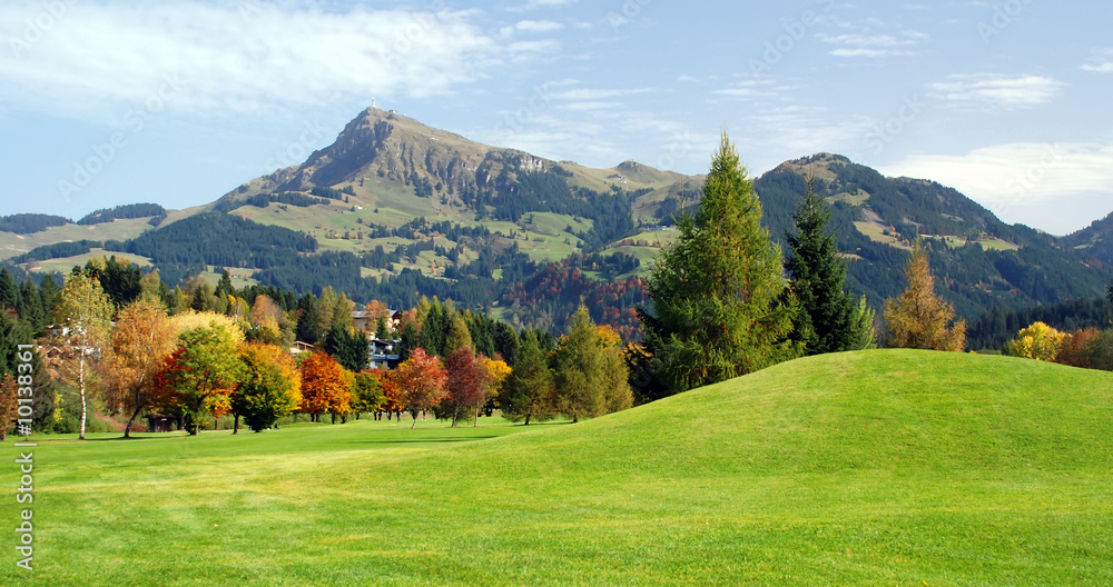 Naklejka premium Grassland and mountains at Kitzbuhel - Austria
