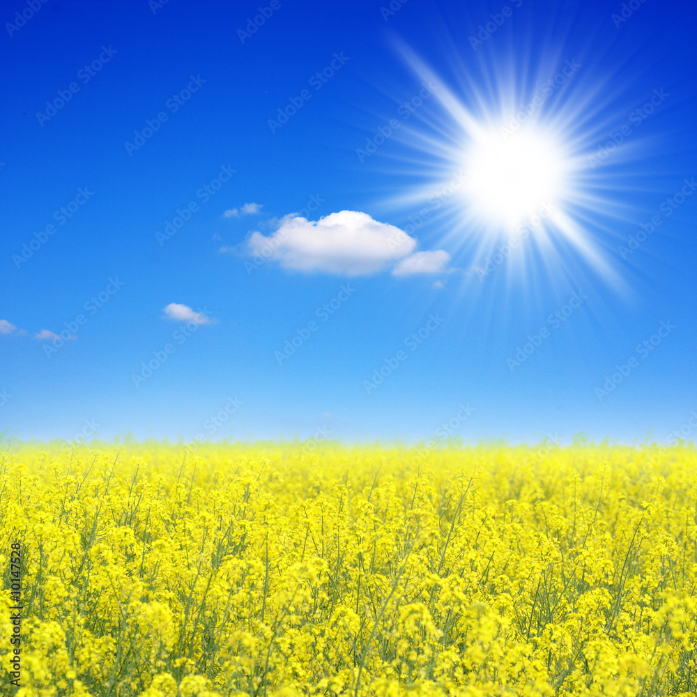 Obraz premium Sommerlandschaft