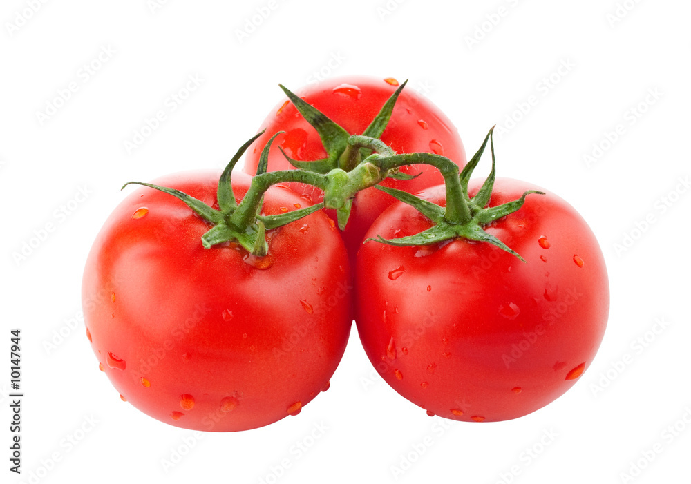Freshly washed tomatoes on white background Freshly washed tomatoes on white background
