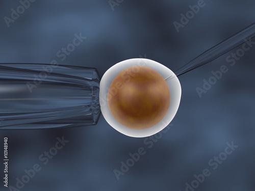 3D illustration of an in vitro cloning assay frontal view