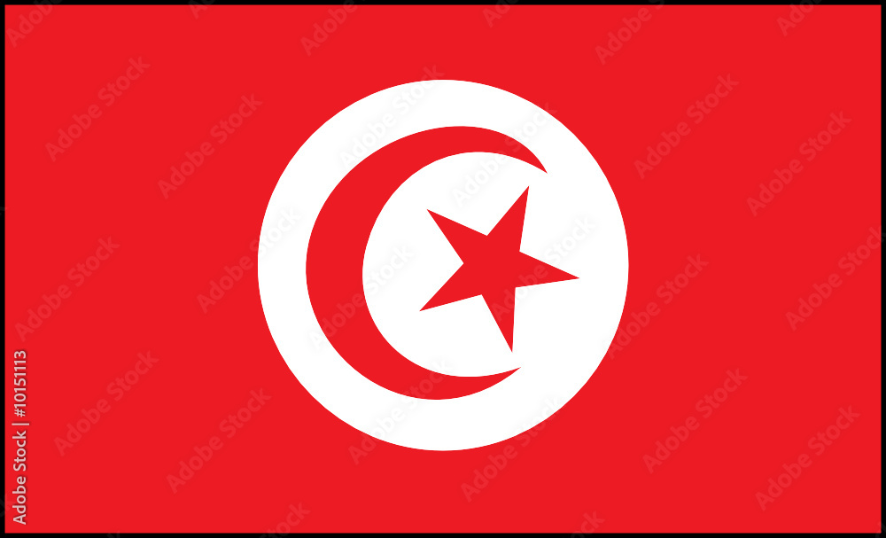drapeau tunisie Stock Vector