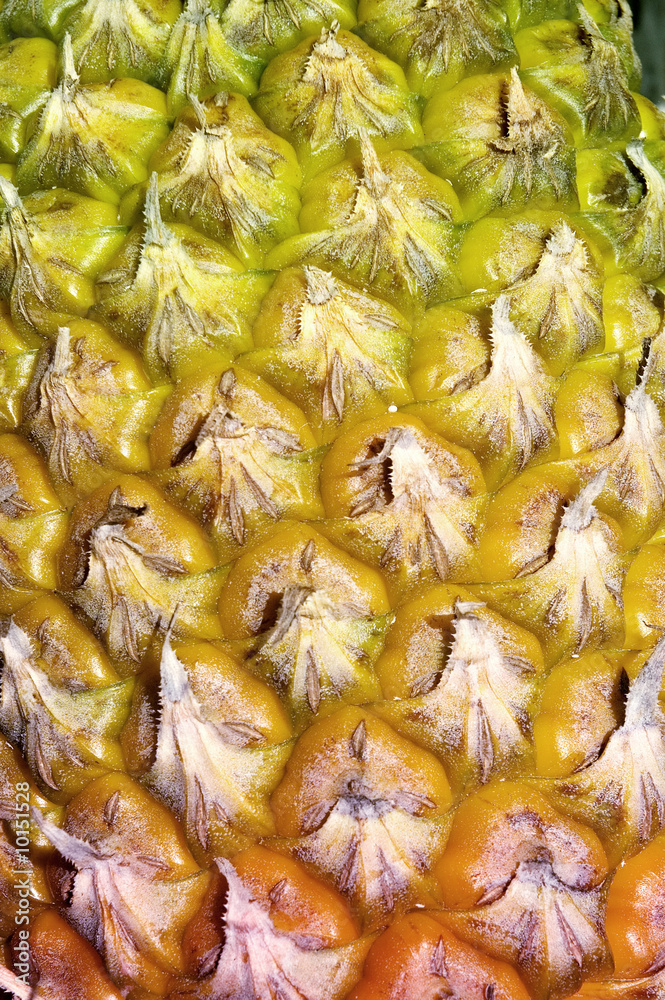 Close up details of pineapple with shades of green to orange Close up details of pineapple with shades of green to orange