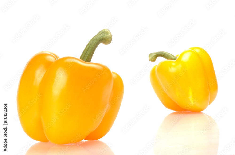 capsicum capsicum