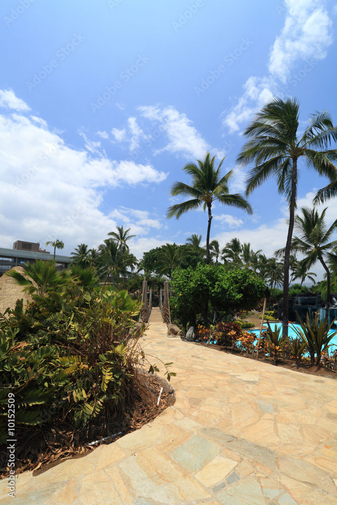 Fototapeta premium Big Island Resort Walkway, Bridge and Swimming Pool