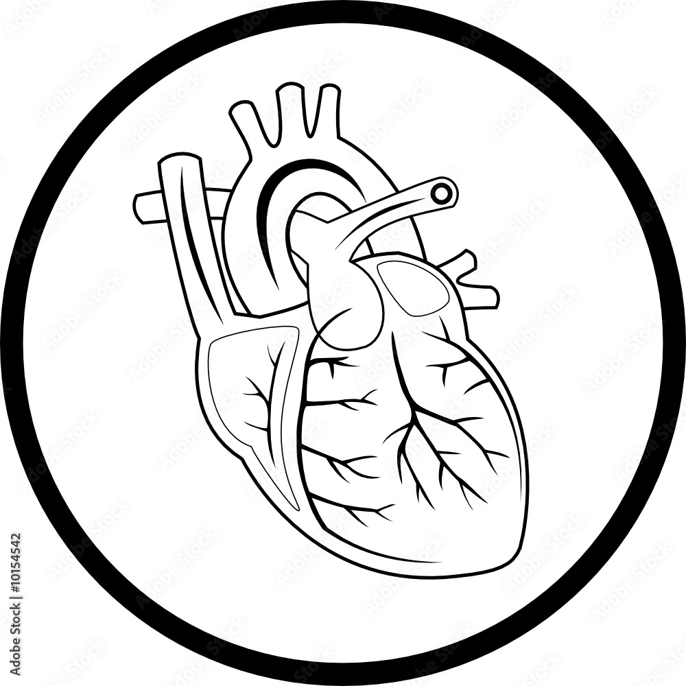 Fototapeta premium Vector heart icon. Black and white. Simply change.