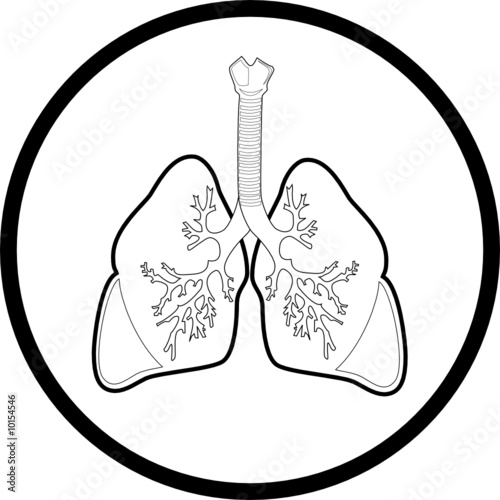 Vector lungs icon. Black and white. Simply change.