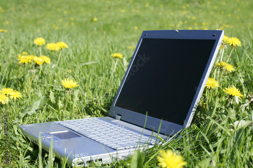 laptop in grass as a symbol for fieldwork,leisure or holiday