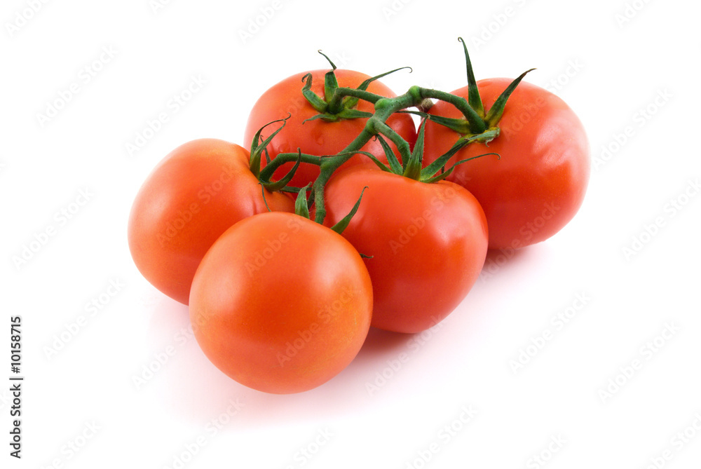 tomatoes isolated on the white background