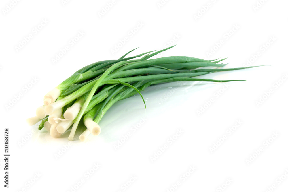 green onion isolated on the white background green onion isolated on the white background