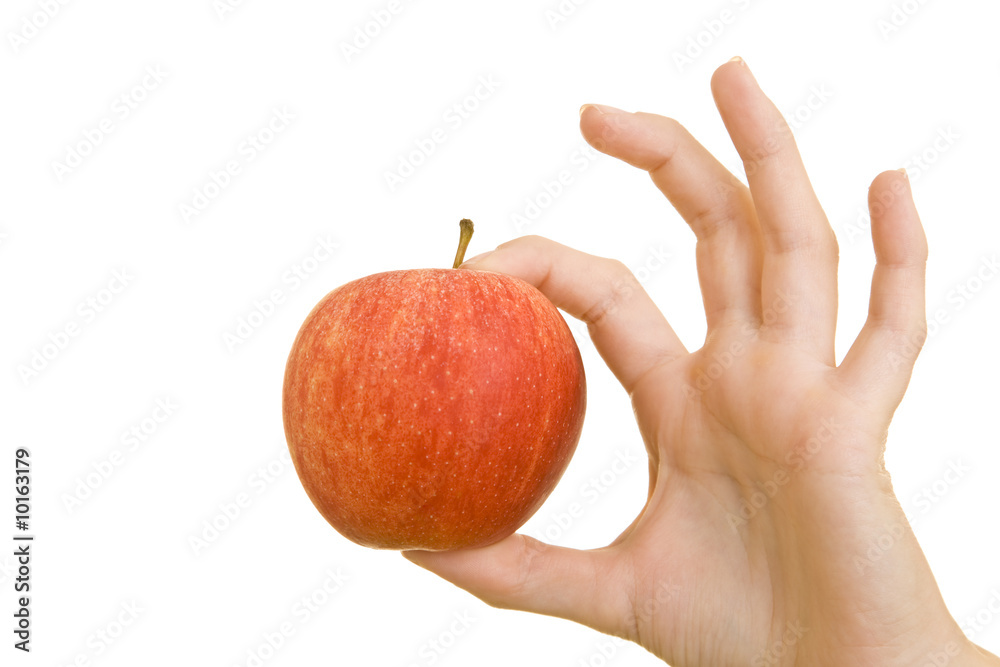 Hand macht Okay-Zeichen mit einem Elstar-Apfel Hand macht Okay-Zeichen mit einem Elstar-Apfel