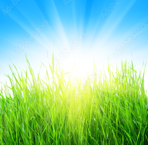 green grass and yellow sun