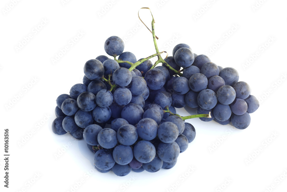 purple concord grapes isolated on a white background