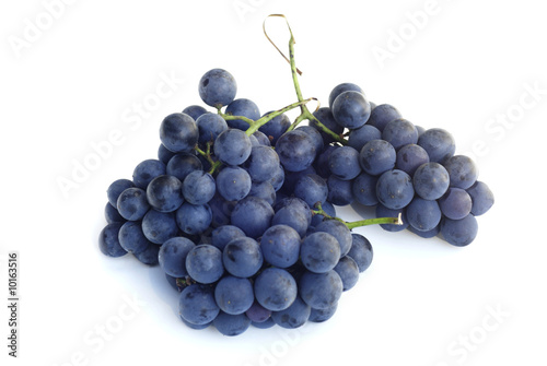 purple concord grapes isolated on a white background