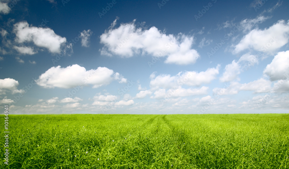 green field and blue sky