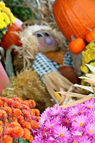 Halloween photo