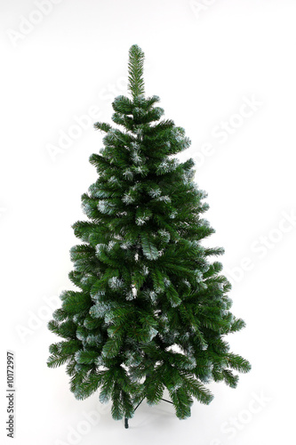 Christmas tree without any decorations