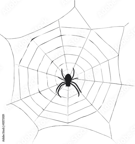 Spinnennetz