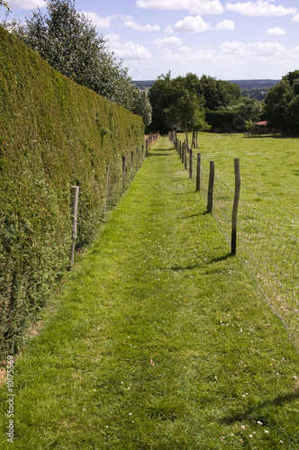 A footpath with a hedge and grass field