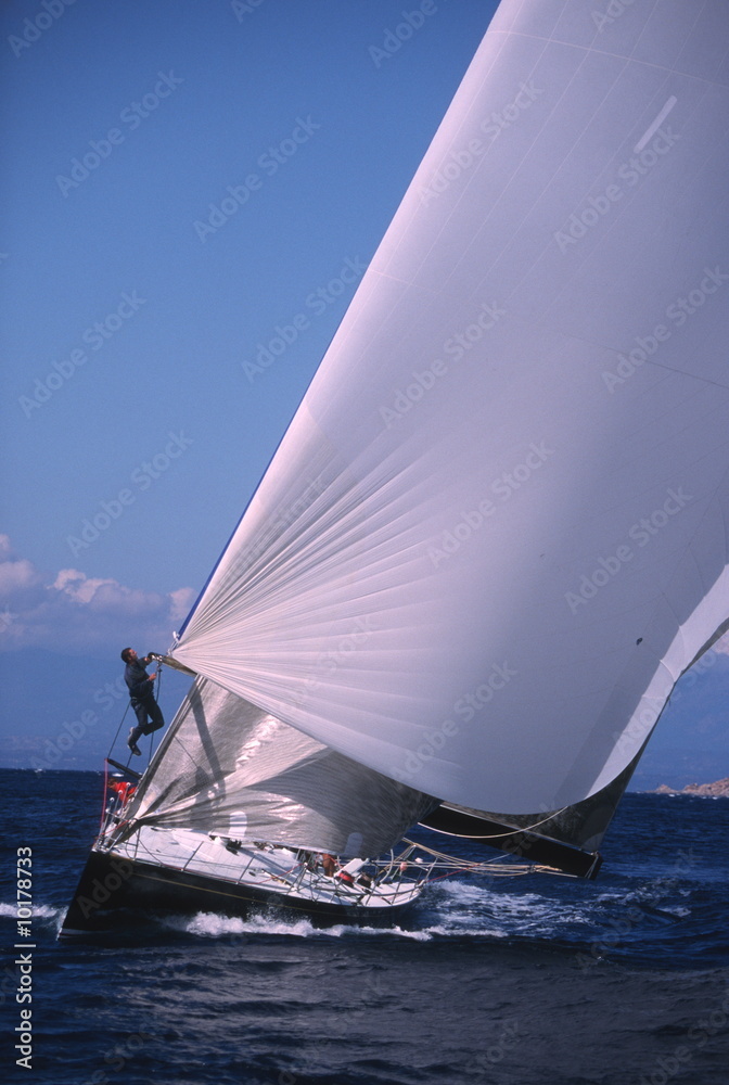 Fototapeta premium Spinnaker