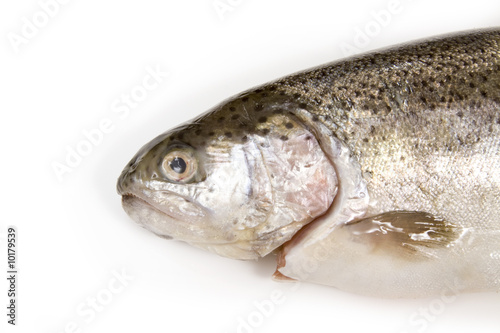 Fresh whole trout isolate don a white studio background.