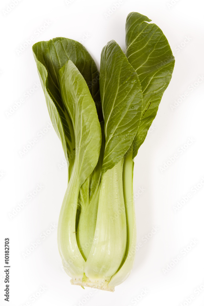 Bok Choi isolated on a white studio background. Bok Choi isolated on a white studio background.