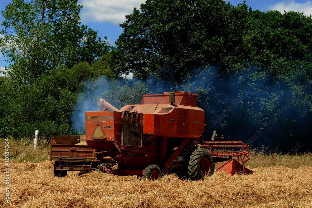 Fototapeta premium Moisseneuse