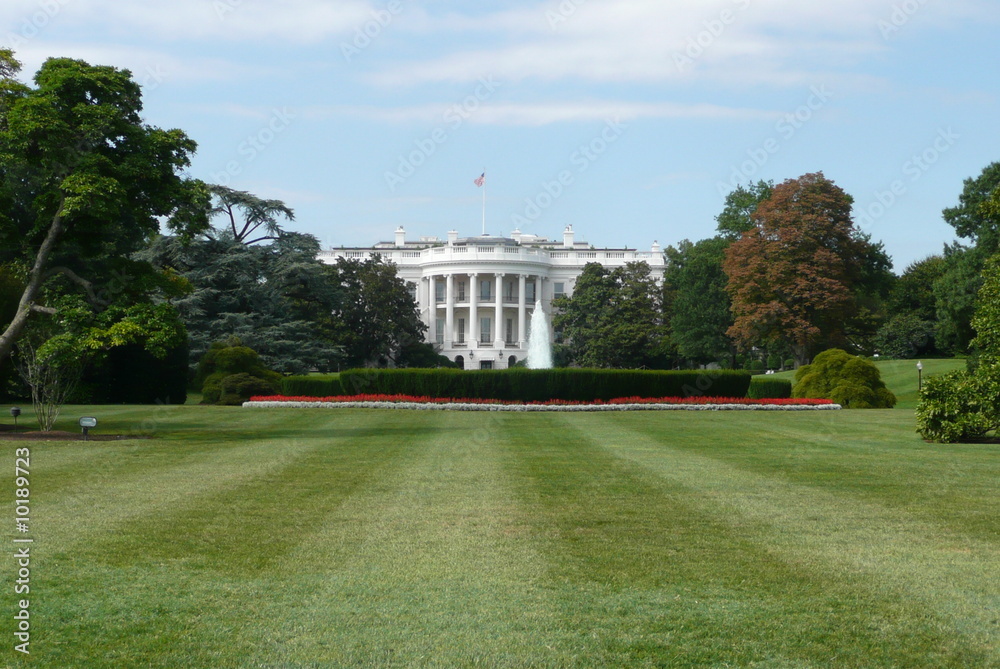 Fototapeta premium washington