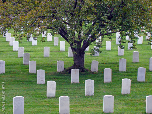 Fotografi Arlington National Cemetery