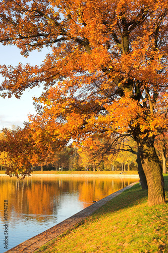 Autumn park and lake