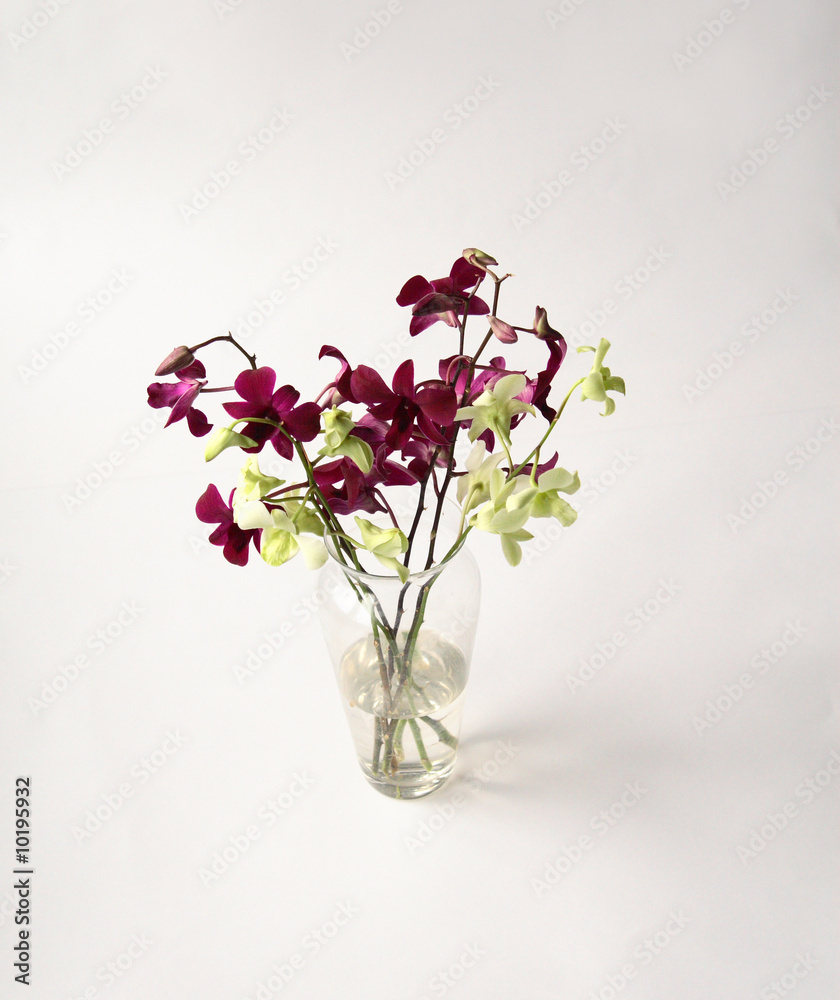 Obraz premium Bunch of orchids in a glass vase