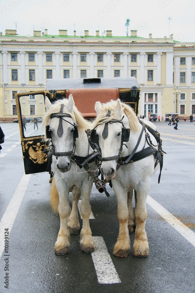 Fototapeta premium Palace Square, St Petersburg, Russia