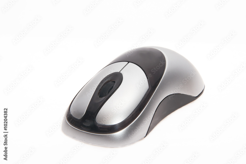 The computer isolated mouse on the white background The computer isolated mouse on the white background