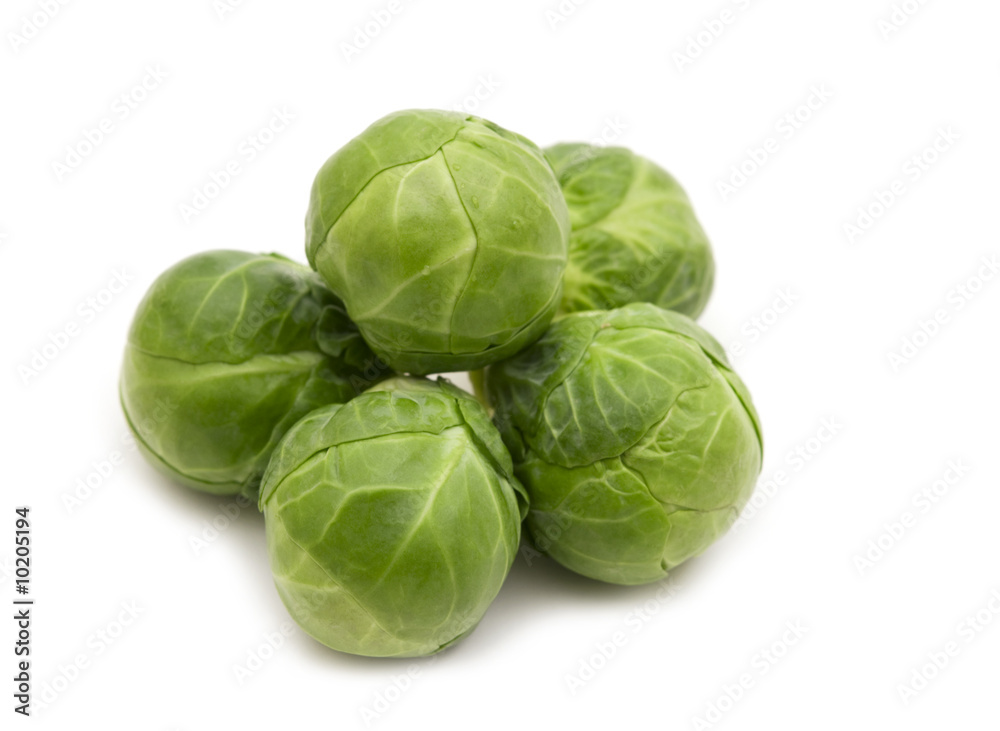 brussels sprouts on white background brussels sprouts on white background
