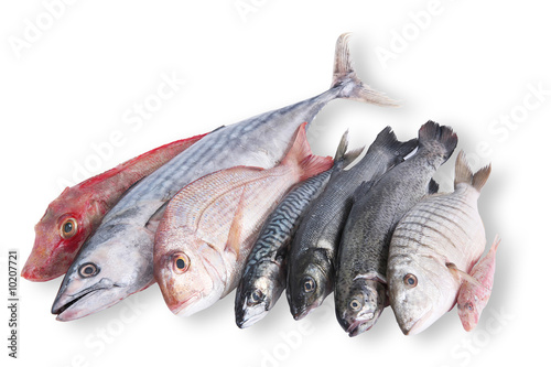 pesce in pescheria